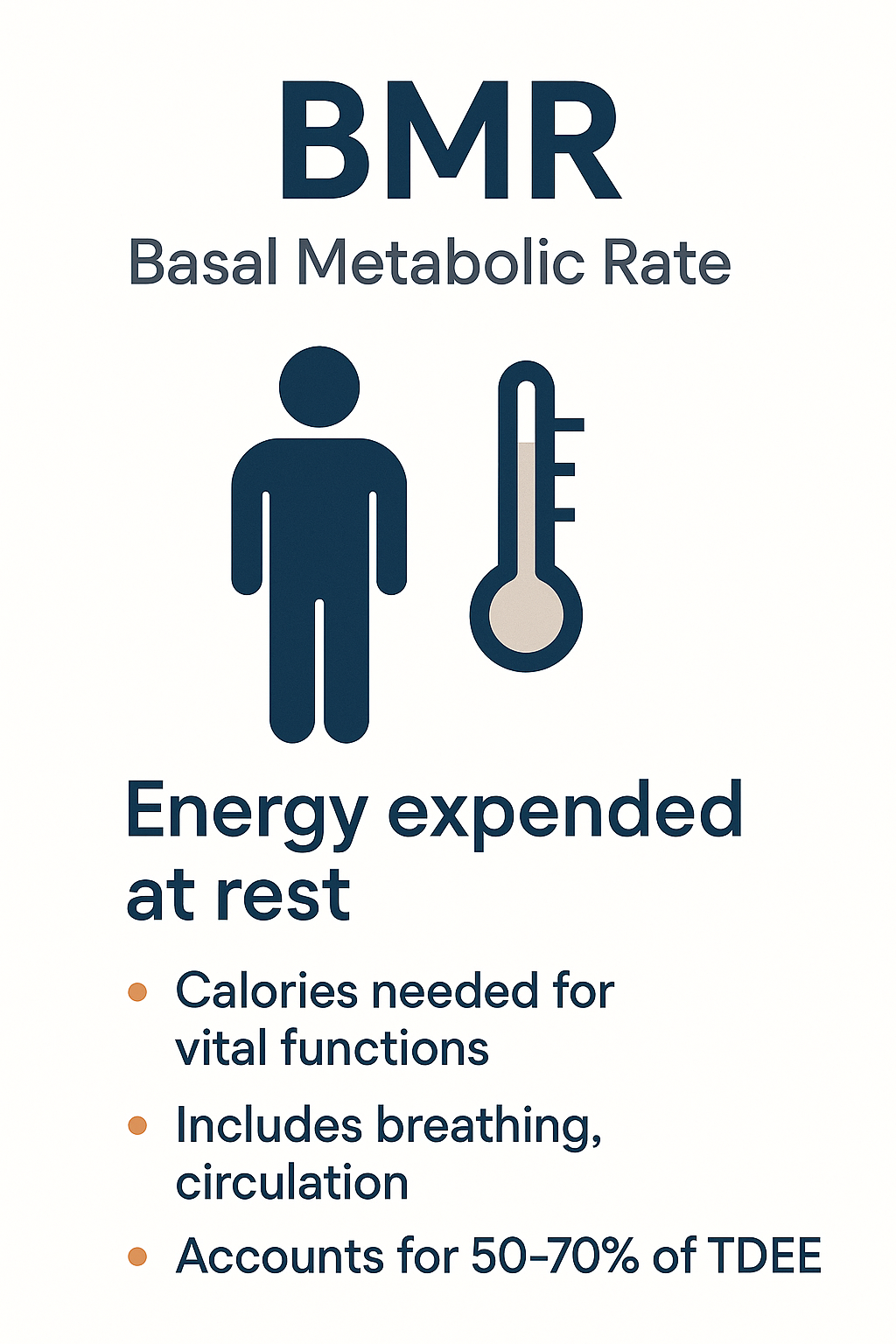 BMR Basal Metabolic Rate infographic showing energy expended at rest, calories needed for vital functions including breathing and circulation, accounts for 50-70% of TDEE